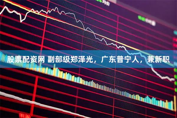 股票配资网 副部级郑泽光，广东普宁人，兼新职
